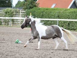 IMG_1137_web